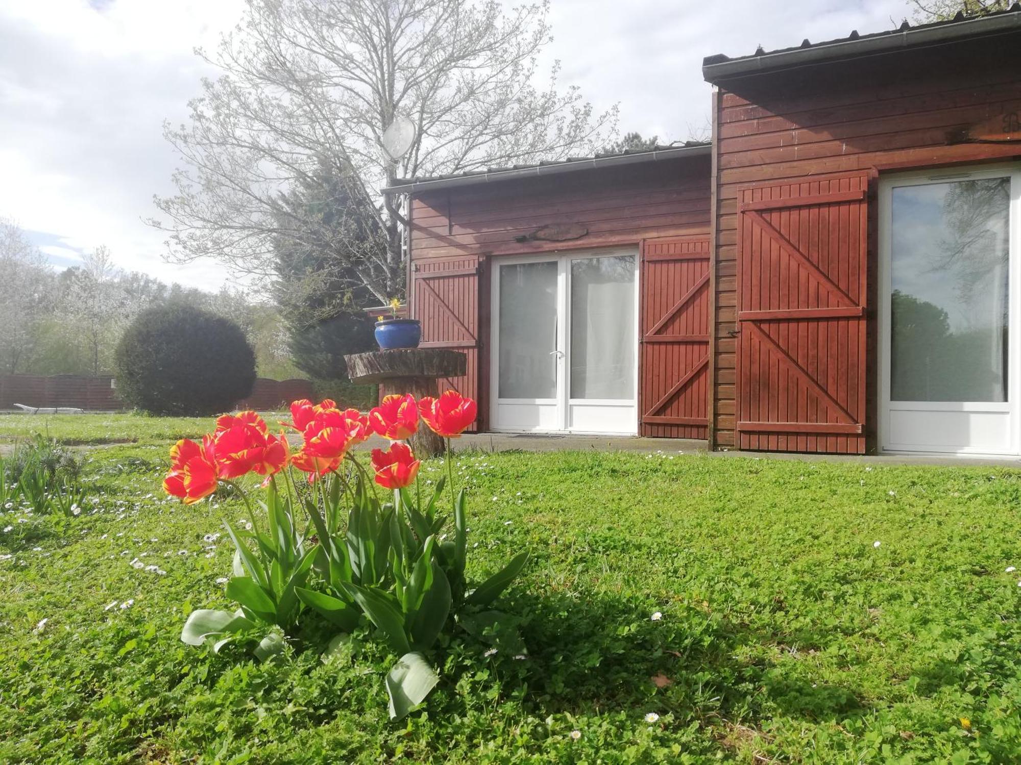 Chalets Mouliere Evasion Montamise Exterior photo
