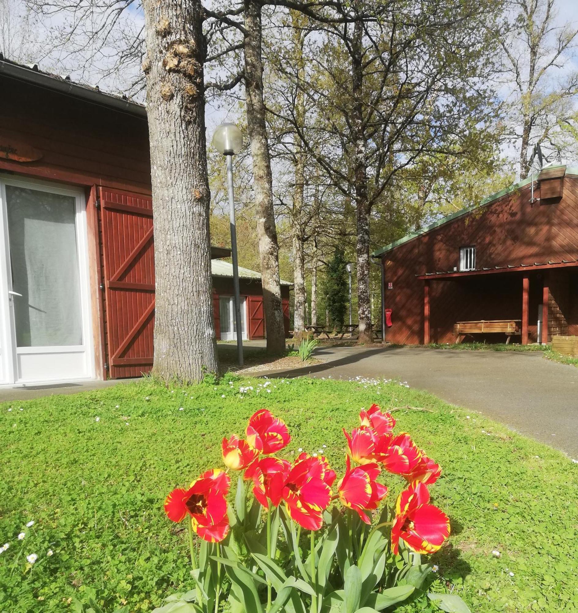 Chalets Mouliere Evasion Montamise Exterior photo